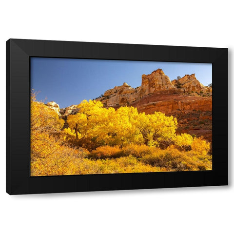 USA- Utah- Grand Staircase Escalante National Monument. Calf Creek Canyon landscape. Black Modern Wood Framed Art Print by Jaynes Gallery