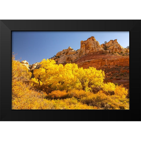 USA- Utah- Grand Staircase Escalante National Monument. Calf Creek Canyon landscape. Black Modern Wood Framed Art Print by Jaynes Gallery