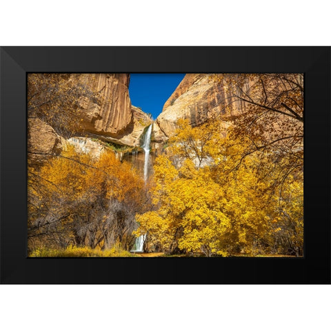 USA- Utah- Grand Staircase Escalante National Monument. Landscape with Lower Calf Creek Falls. Black Modern Wood Framed Art Print by Jaynes Gallery