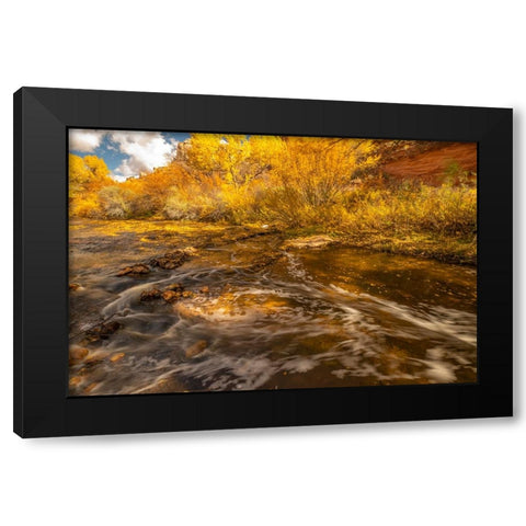 USA- Utah- Calf Creek Recreation Area in autumn. Black Modern Wood Framed Art Print by Jaynes Gallery