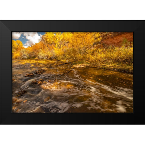 USA- Utah- Calf Creek Recreation Area in autumn. Black Modern Wood Framed Art Print by Jaynes Gallery