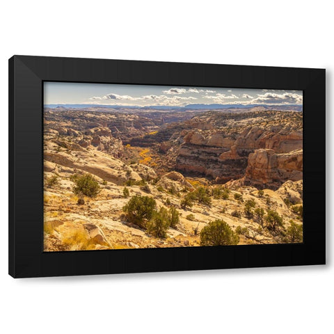 USA- Utah- Grand Staircase Escalante National Monument. Cliff and autumn cottonwood trees. Black Modern Wood Framed Art Print by Jaynes Gallery