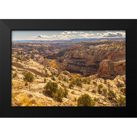 USA- Utah- Grand Staircase Escalante National Monument. Cliff and autumn cottonwood trees. Black Modern Wood Framed Art Print by Jaynes Gallery