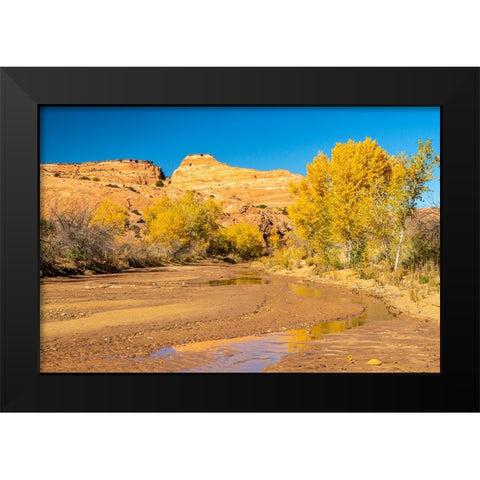 USA- Utah- Grand Staircase Escalante National Monument. Harris Wash and cottonwood trees in fall. Black Modern Wood Framed Art Print by Jaynes Gallery