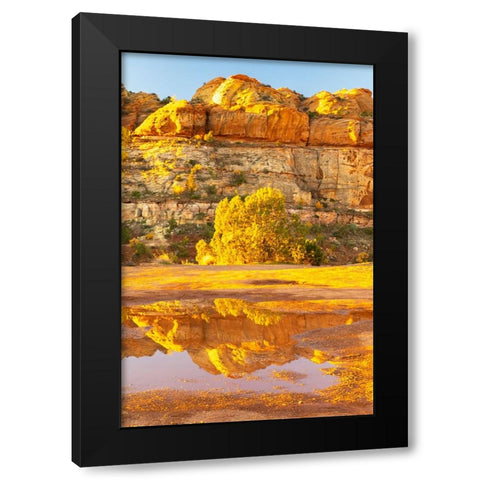 USA- Utah- Grand Staircase Escalante National Monument. Reflections in Escalante River Basin water. Black Modern Wood Framed Art Print by Jaynes Gallery