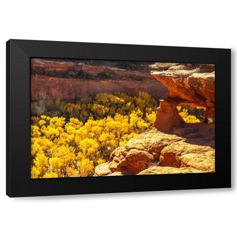 USA- Utah- Grand Staircase Escalante National Monument. Escalante River Basin rock formations. Black Modern Wood Framed Art Print by Jaynes Gallery