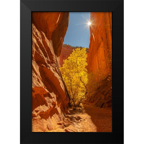USA- Utah- Grand Staircase Escalante National Monument. Burr Trail and tree Black Modern Wood Framed Art Print by Jaynes Gallery