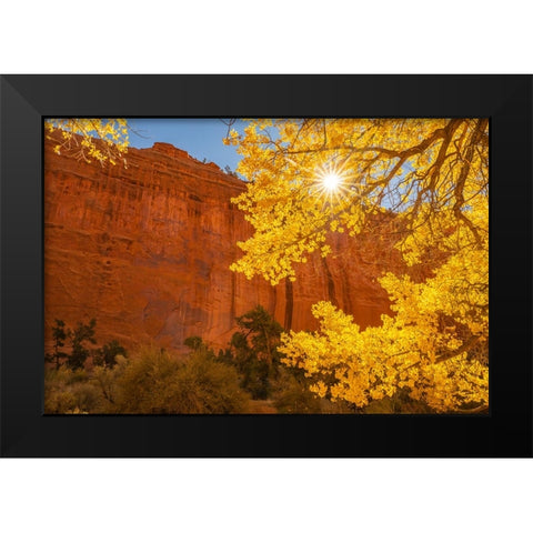 USA- Utah- Grand Staircase Escalante National Monument. Rock formations. and cottonwood trees. Black Modern Wood Framed Art Print by Jaynes Gallery