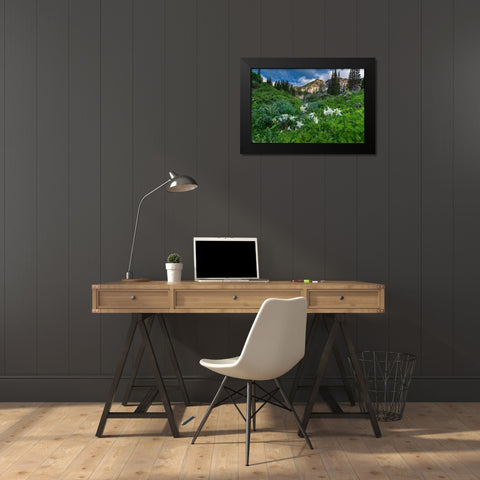 Columbine wildflowers and bluebells in Albion Basin-Alta Ski Resort-Wasatch Mountains Black Modern Wood Framed Art Print by Garber, Howie