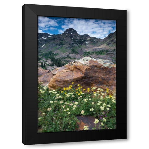Wildflowers and Dromedary Peak-Twin Peaks Wilderness-Wasatch Mountains near Salt Lake City-Utah-USA Black Modern Wood Framed Art Print with Double Matting by Garber, Howie