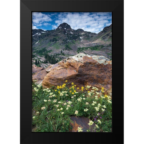 Wildflowers and Dromedary Peak-Twin Peaks Wilderness-Wasatch Mountains near Salt Lake City-Utah-USA Black Modern Wood Framed Art Print by Garber, Howie