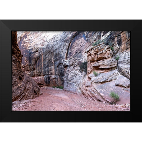 USA-Utah-Grand Wash-Capitol Reef National Park Black Modern Wood Framed Art Print by Davidson, Janell
