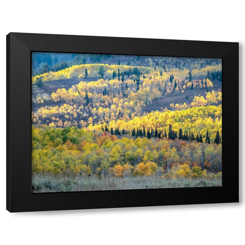 Utah-Logan Pass Autumn colors in Logan Pass Utah Black Modern Wood Framed Art Print by Eggers, Julie