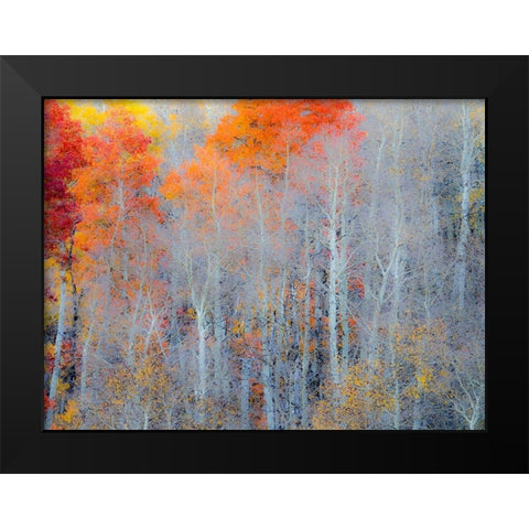 Utah-Logan Pass Autumn colors in Logan Pass Utah Black Modern Wood Framed Art Print by Eggers, Julie