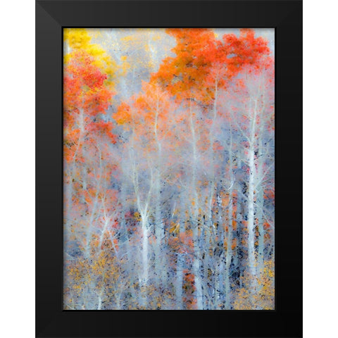 Utah-Logan Pass Autumn colors in Logan Pass Utah Black Modern Wood Framed Art Print by Eggers, Julie