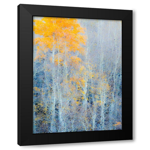 Utah-Logan Pass Autumn colors in Logan Pass Utah Black Modern Wood Framed Art Print by Eggers, Julie