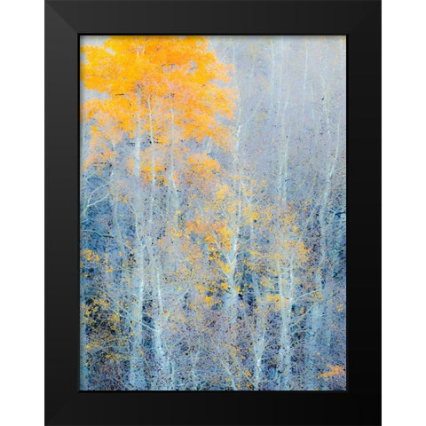 Utah-Logan Pass Autumn colors in Logan Pass Utah Black Modern Wood Framed Art Print by Eggers, Julie