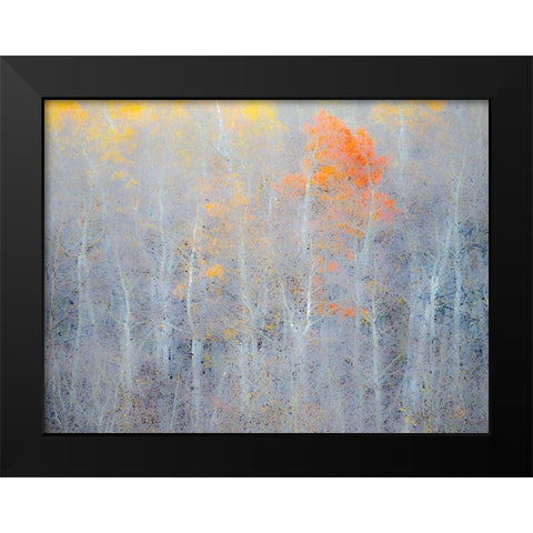 Utah-Logan Pass Autumn colors in Logan Pass Utah Black Modern Wood Framed Art Print by Eggers, Julie