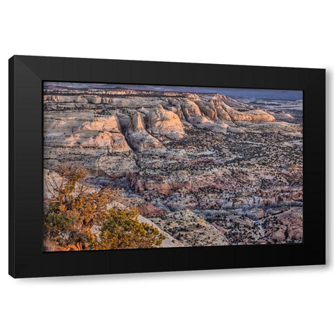 Slickrock-Escalante-Utah Black Modern Wood Framed Art Print by Ford, John