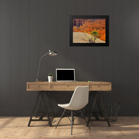 Utah-Bryce Canyon Natonal Park view of canyon with hoodoos Black Modern Wood Framed Art Print by Wild, Jamie and Judy