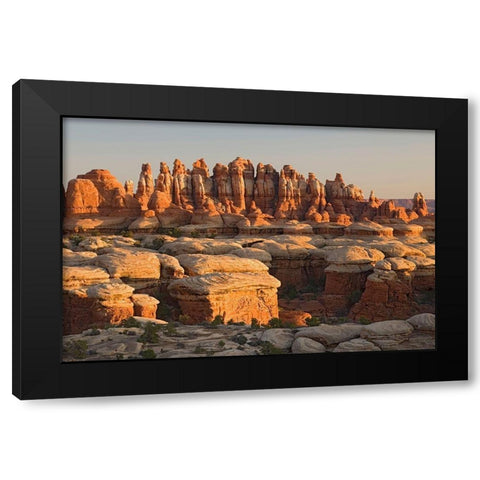 UT-Canyonlands National Park-The Needle Rock spires and grabens at Chester Park Black Modern Wood Framed Art Print with Double Matting by Wild, Jamie and Judy