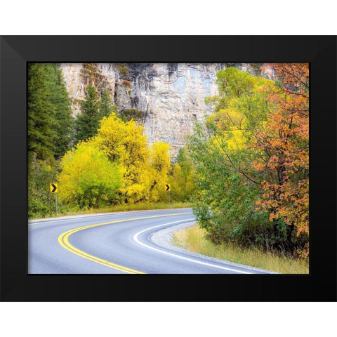 Utah-Logan Pass and highway 89 fall color with Aspen and Maple Trees Black Modern Wood Framed Art Print by Gulin, Sylvia
