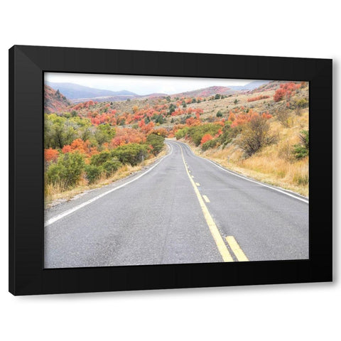 Utah Highway 39 heading west out of Wasatch Mountains with Autumn colors Black Modern Wood Framed Art Print by Gulin, Sylvia