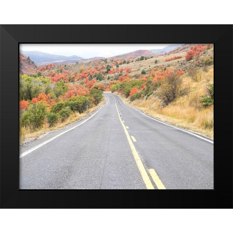 Utah Highway 39 heading west out of Wasatch Mountains with Autumn colors Black Modern Wood Framed Art Print by Gulin, Sylvia