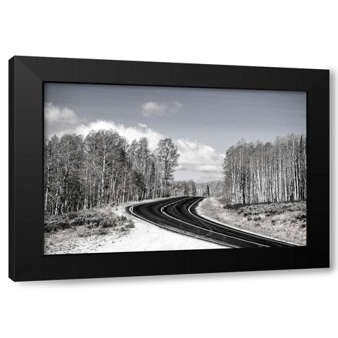 USA-Utah-west of Woodruff aspen trees along highway 39 Black Modern Wood Framed Art Print by Gulin, Sylvia