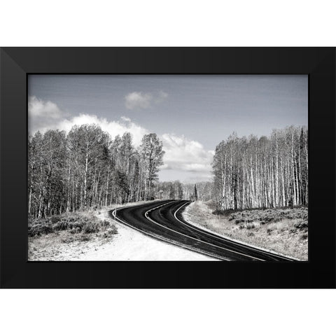 USA-Utah-west of Woodruff aspen trees along highway 39 Black Modern Wood Framed Art Print by Gulin, Sylvia