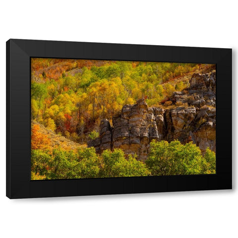 USA-Utah-Highway 89 and canyon walls of Logan pass with fall colors Black Modern Wood Framed Art Print with Double Matting by Gulin, Sylvia