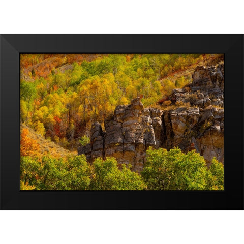 USA-Utah-Highway 89 and canyon walls of Logan pass with fall colors Black Modern Wood Framed Art Print by Gulin, Sylvia