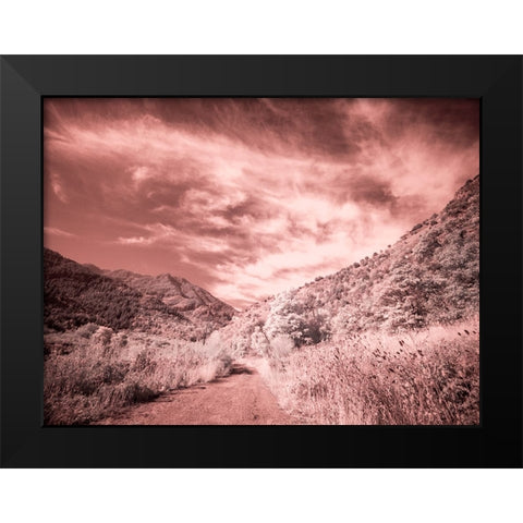 USA-Utah-Infrared of backroad in the Logan Pass area Black Modern Wood Framed Art Print by Eggers, Terry