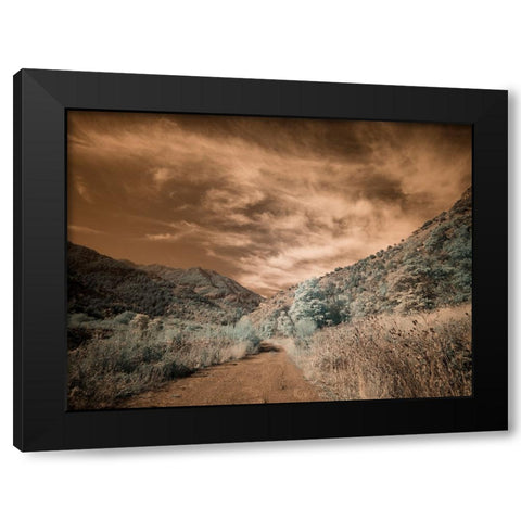 USA-Utah-Infrared of backroad in the Logan Pass area Black Modern Wood Framed Art Print by Eggers, Terry
