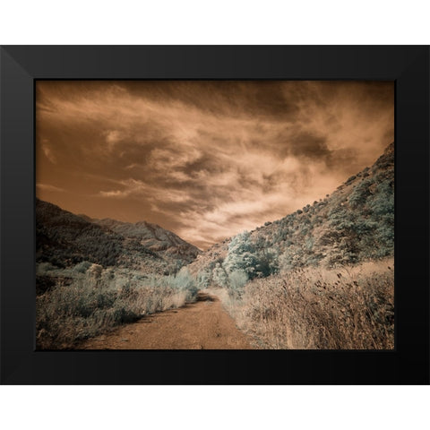USA-Utah-Infrared of backroad in the Logan Pass area Black Modern Wood Framed Art Print by Eggers, Terry