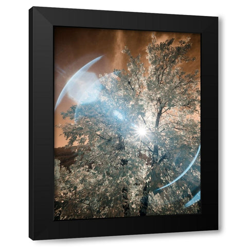USA-Utah-Infrared of the Logan Pass area Black Modern Wood Framed Art Print with Double Matting by Eggers, Terry