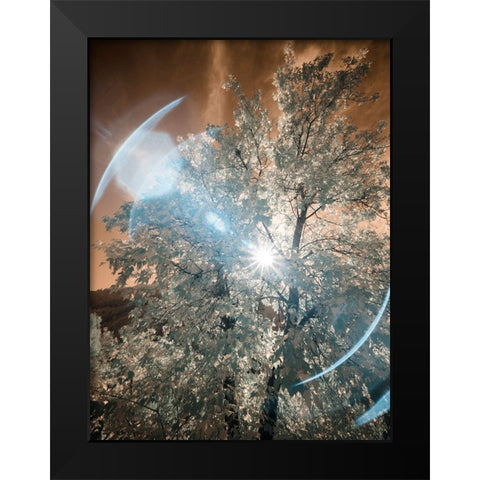 USA-Utah-Infrared of the Logan Pass area Black Modern Wood Framed Art Print by Eggers, Terry