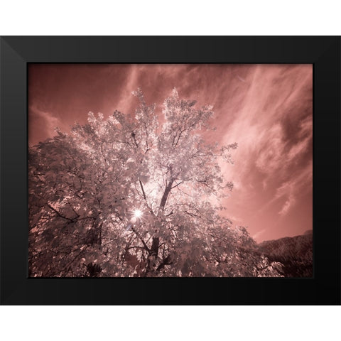 USA-Utah-Infrared of the Logan Pass area Black Modern Wood Framed Art Print by Eggers, Terry