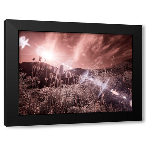 USA-Utah-Infrared of the Logan Pass area with sunrays Black Modern Wood Framed Art Print by Eggers, Terry