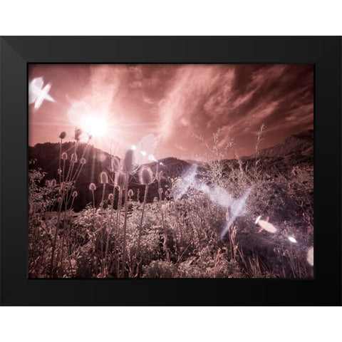 USA-Utah-Infrared of the Logan Pass area with sunrays Black Modern Wood Framed Art Print by Eggers, Terry