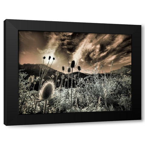 USA-Utah-Infrared of the Logan Pass area Black Modern Wood Framed Art Print by Eggers, Terry