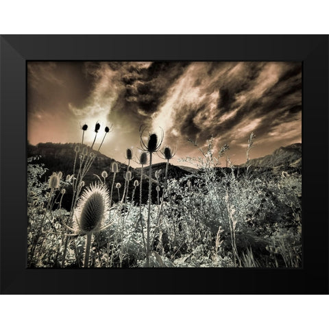 USA-Utah-Infrared of the Logan Pass area Black Modern Wood Framed Art Print by Eggers, Terry