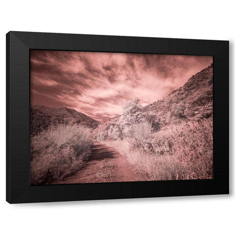 USA-Utah-Infrared of backroad in the Logan Pass area Black Modern Wood Framed Art Print by Eggers, Terry