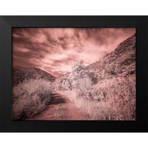 USA-Utah-Infrared of backroad in the Logan Pass area Black Modern Wood Framed Art Print by Eggers, Terry