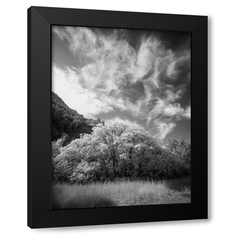 USA-Utah-Infrared of the Logan Pass area and lone tree Black Modern Wood Framed Art Print with Double Matting by Eggers, Terry