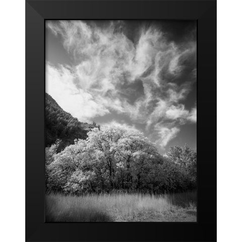 USA-Utah-Infrared of the Logan Pass area and lone tree Black Modern Wood Framed Art Print by Eggers, Terry