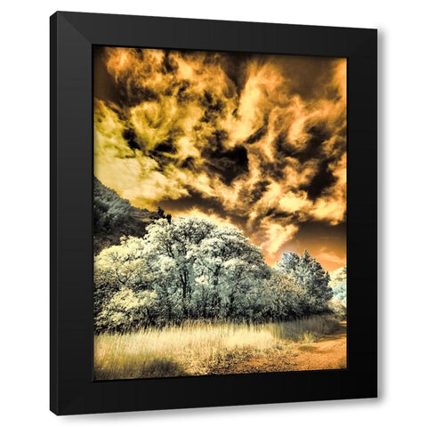 USA-Utah-Infrared of the Logan Pass area and lone tree Black Modern Wood Framed Art Print with Double Matting by Eggers, Terry