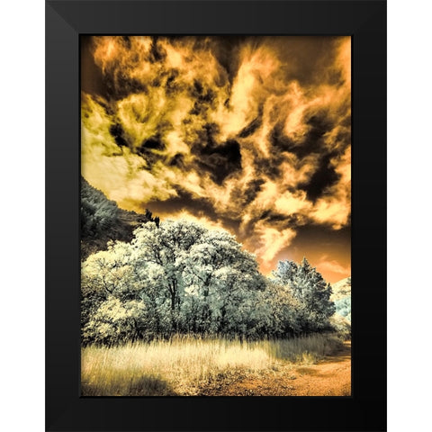 USA-Utah-Infrared of the Logan Pass area and lone tree Black Modern Wood Framed Art Print by Eggers, Terry