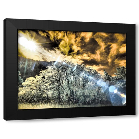 USA-Utah-Infrared of the Logan Pass area and lone tree Black Modern Wood Framed Art Print with Double Matting by Eggers, Terry