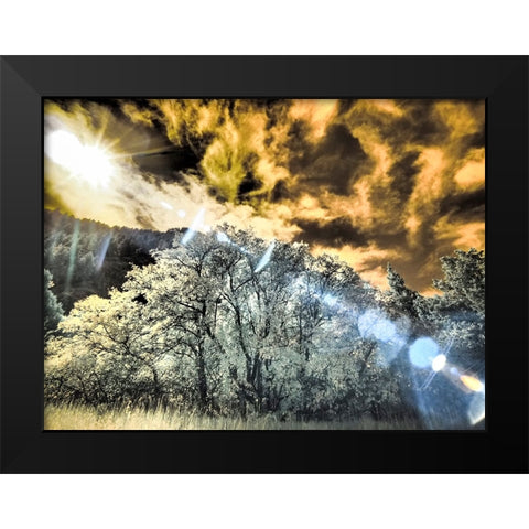 USA-Utah-Infrared of the Logan Pass area and lone tree Black Modern Wood Framed Art Print by Eggers, Terry